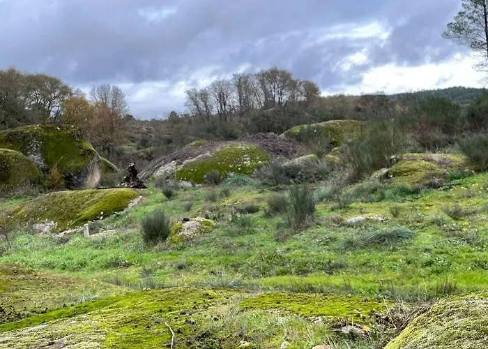 Casa Dos Moinhos De Aveia Tatil Evi