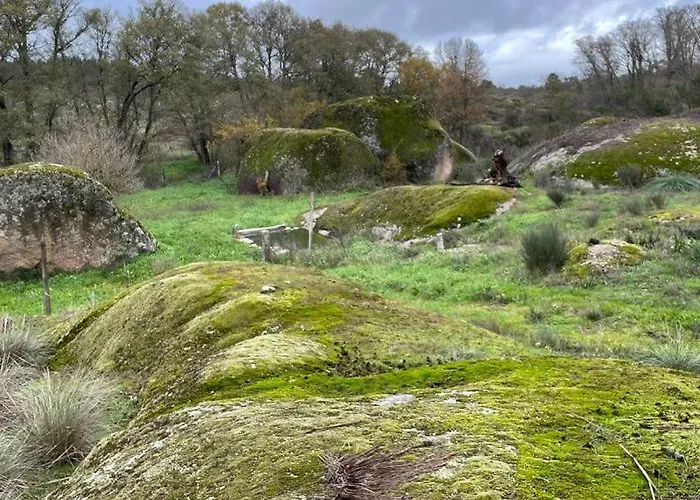Casa Dos Moinhos De Aveia * Alverca da Beira
